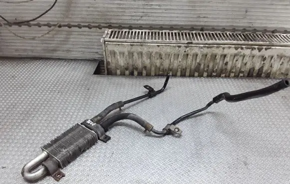 Hyundai Santa Fe Power steering radiator 