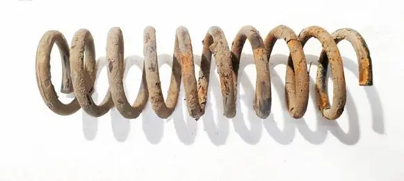 Rear coil spring