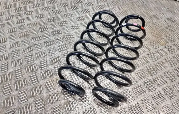 Rear coil spring