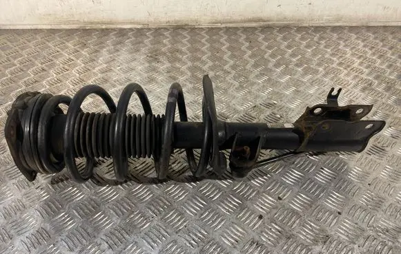 Nissan Qashqai Front shock absorber with coil spring 54302BR04A 824903008004