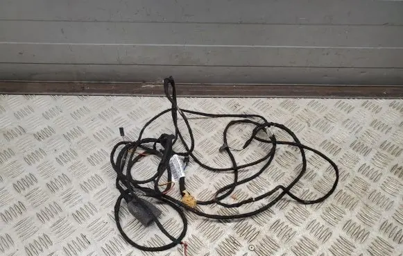 Audi Q7 4M Other wiring loom 4M0971100M