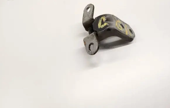 Rear door lower hinge