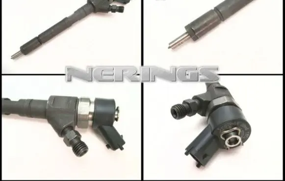 Citroen C3 Fuel injector 0445110259