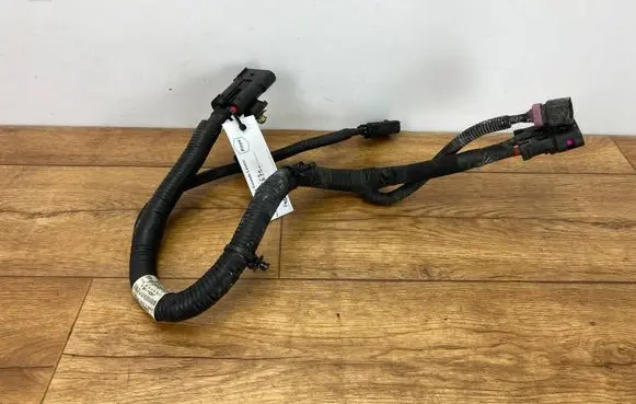 Cadillac Escalade IV Wiring harness 38021684