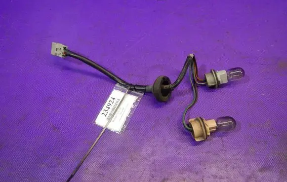 Honda Civic Tail light bulb cover holder 