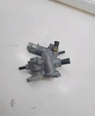 Thermostat/thermostat housing