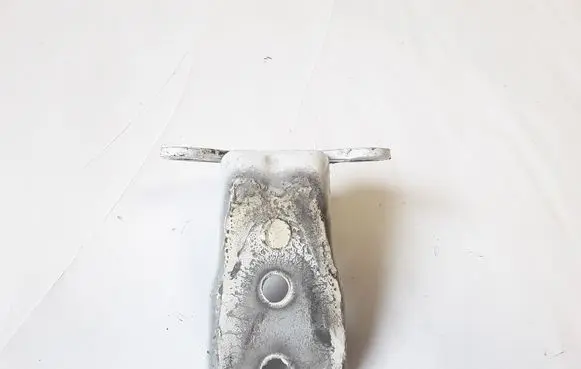 Opel Antara Front door lower hinge 12K06