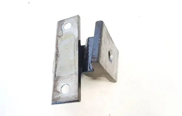 BMW X5 E70 Rear door lower hinge 7160824