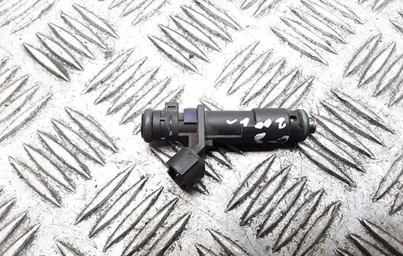 Citroen C5 Fuel injector deka71