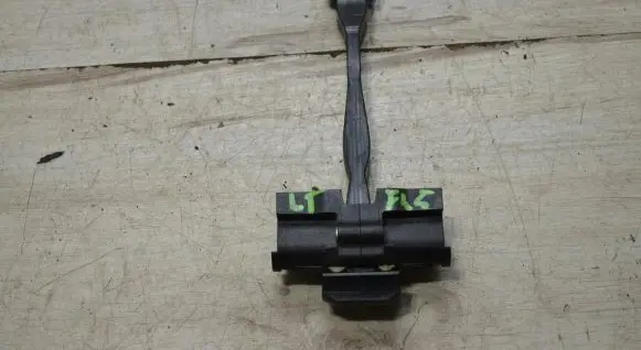 Rear door check strap stopper