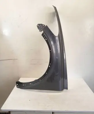 Volvo C30 Fender C30BLOTNIKAS12