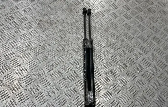 Opel Insignia B Front bonnet/hood damper/strut 39150008