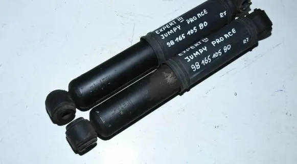Peugeot Expert Rear shock absorber/damper 9816510580