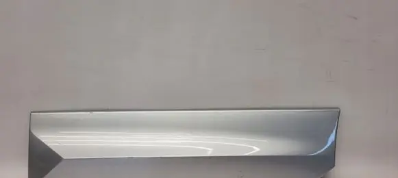 Rear door trim (molding)