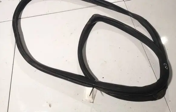 Renault Laguna III Rubber seal rear door 
