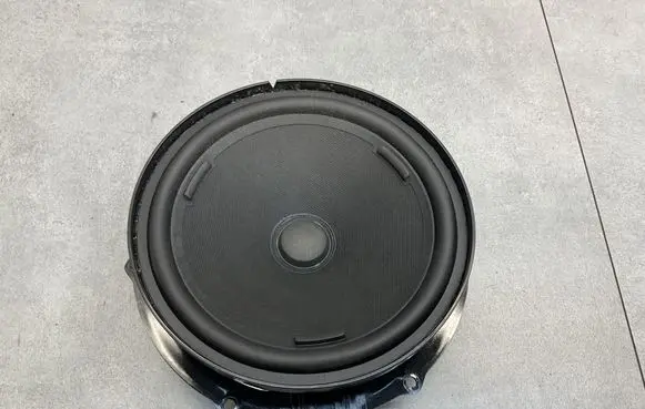 Volkswagen PASSAT B8 Front door speaker 3G0035454