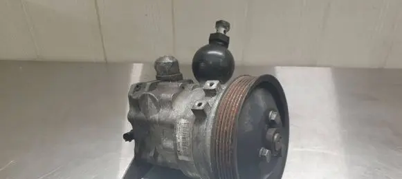 Electric power steering pump