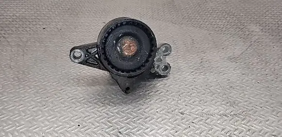 Peugeot 206 Generator/alternator belt tensioner 9652046680