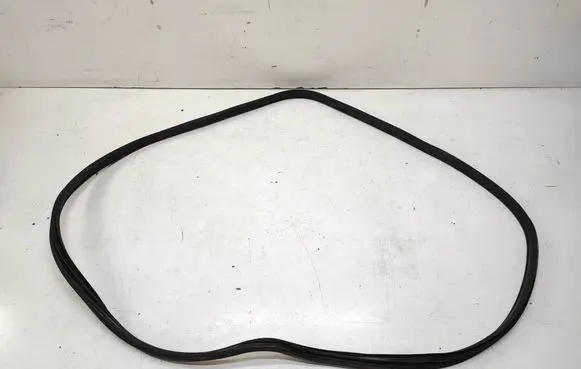 BMW X6 E71 Front door rubber seal 