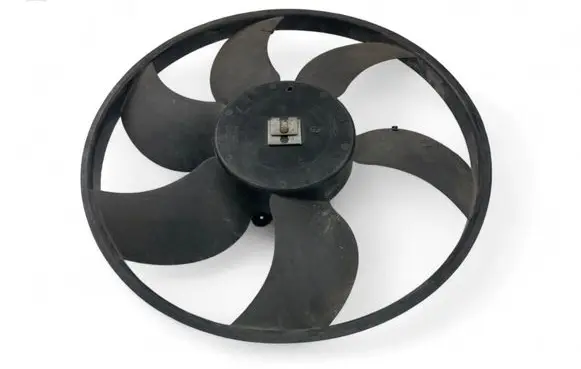 Renault Kangoo II Fan impeller 5000241