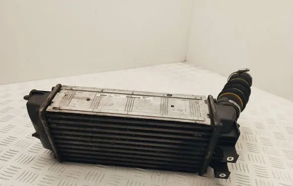 Citroen DS4 Intercooler radiator 9800291280