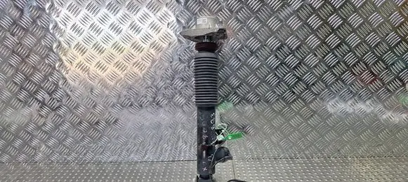 BMW X5 F15 Rear shock absorber/damper S27698180 6875087