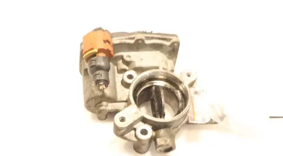 Throttle body valve