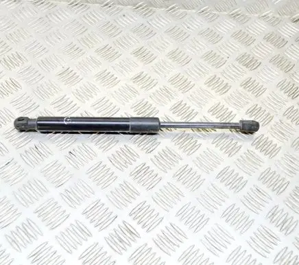 Tesla Model 3 Tailgate/trunk strut/damper 109156000B