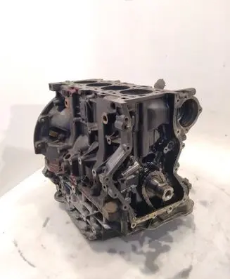 Nissan Qashqai+2 Engine M9RG832