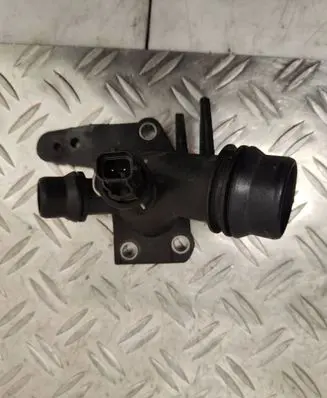 Thermostat/thermostat housing