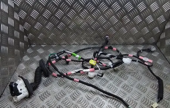 Lexus RX 450H Front door wiring loom 8215248870