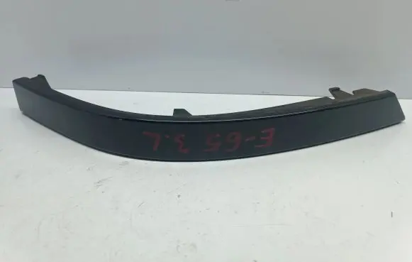 Rear/tail light trim molding