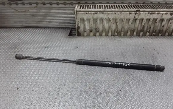 Tailgate/trunk strut/damper