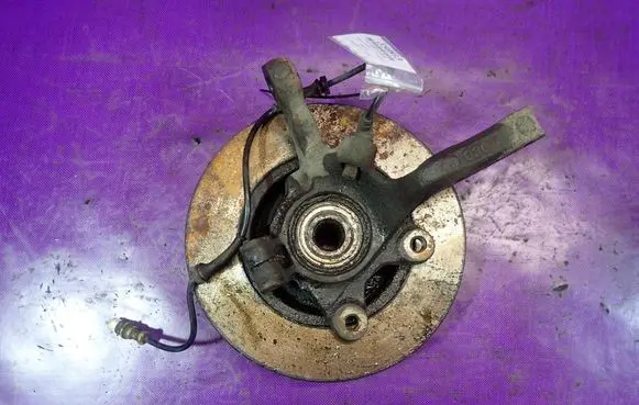 Renault Thalia I Front wheel hub spindle knuckle