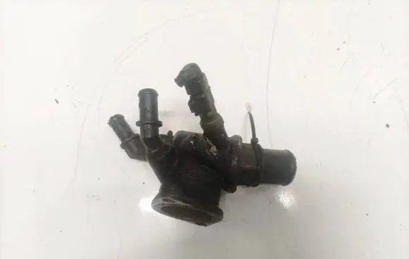 Fiat Croma Engine coolant pipe/hose 55203388
