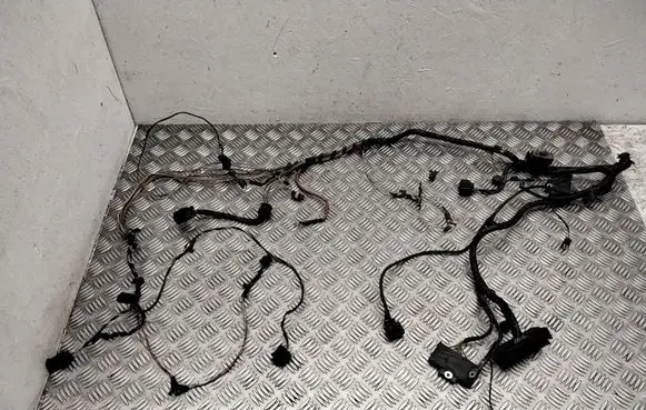 BMW X6 E71 Other wiring loom