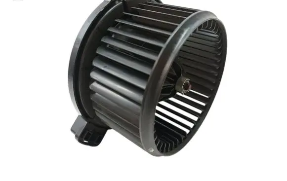 KIA Rio Heater fan/blower F00S33F004