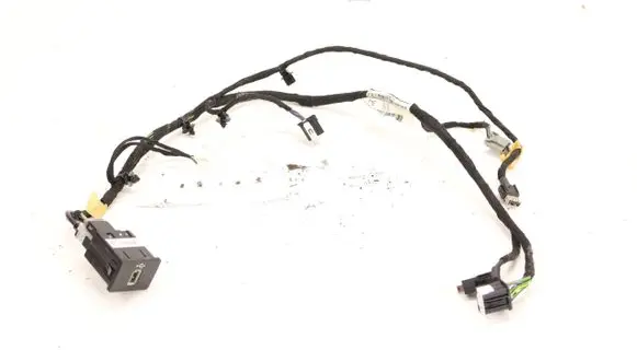 Other wiring loom