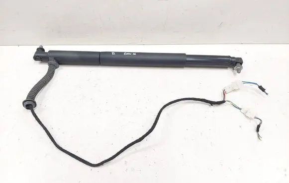 Tailgate/trunk strut/damper