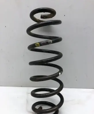 Volkswagen PASSAT B6 Rear coil spring