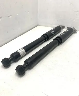 Ford Puma Rear shock absorber/damper L1TC18080LF 1A101384