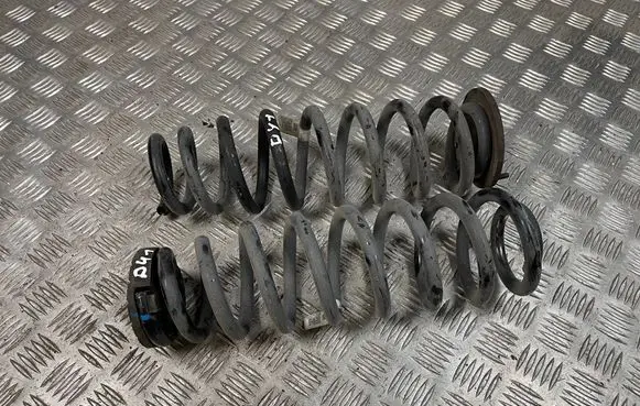 Rear coil spring