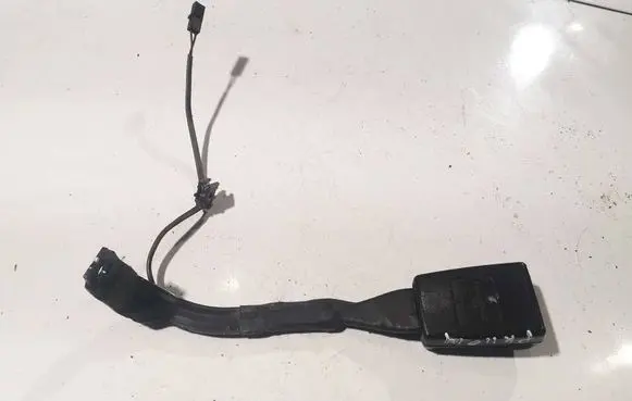 Ford S-MAX Front seatbelt buckle 1K3857755