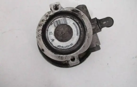 Citroen Xsara Picasso Power steering pump 9659820880