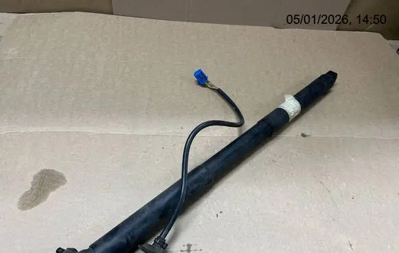 Tailgate strut