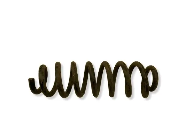Opel Insignia B Rear coil spring 