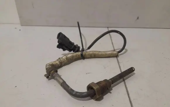 Volvo S60 Exhaust gas temperature sensor 31319842