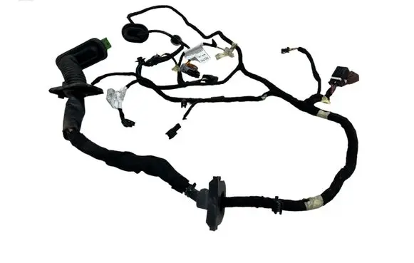 Front door wiring loom