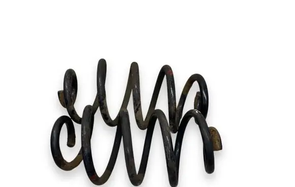 Rear coil spring
