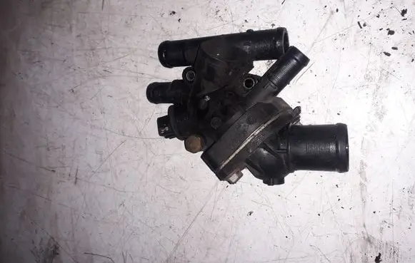 Thermostat/thermostat housing